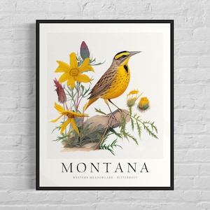 Impresión artística de aves del estado de Montana, flor del estado de Montana, arte de pared de Montana, decoración del hogar