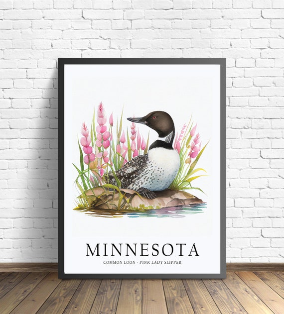 Minnesota State Bird Art Print, Minnesota State Flower, Minnesota Wall Art, Home Decor