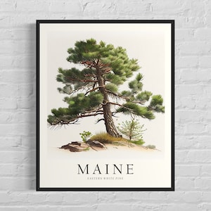 Maine State Tree Art Print, Eastern White Pine Tree Wall Art, State Tree Symbol Artwork