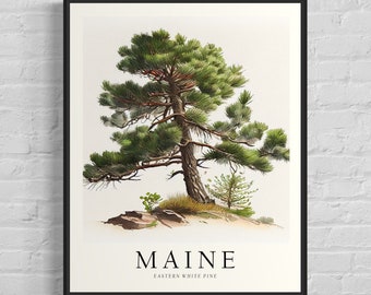 Maine State Tree Art Print, Eastern White Pine Tree Wall Art, State Tree Symbol Artwork