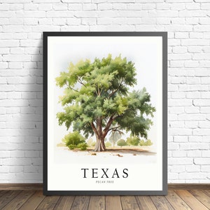 Texas State Tree Art Print, Pecan Tree Wall Art, State Tree Symbol Artwork