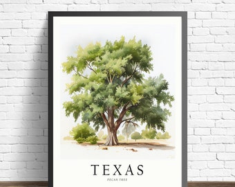 Impression d’art d’arbre d’état du Texas, art mural d’arbre de noix de pécan, œuvre d’art de symbole d’arbre d’état