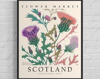 Scotland National Flower, Scotland Flower Market Art Print, Thristle 1960&#39;s Wall Art , Neutral Botanical Pastel Artwork