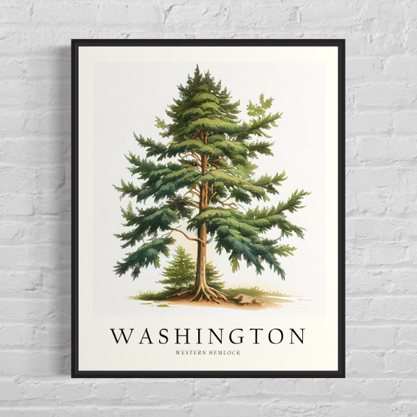 Impression d'art arbre de l'État de Washington, art mural pruche occidentale, oeuvre d'art symbole de l'arbre de l'État