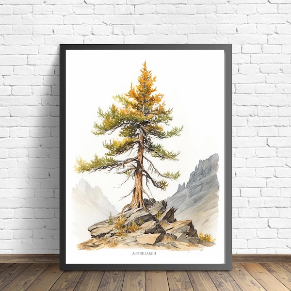 Alpine Larch Tree Art Print, Alpine Larch Tree Wall Art Poster