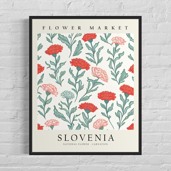 Slovenia Flower Market Art Print, Slovenia Flower, Carnation Wall