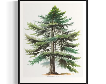 Douglas Fir Tree Art Print, Douglas Fir Tree Wall Art Poster