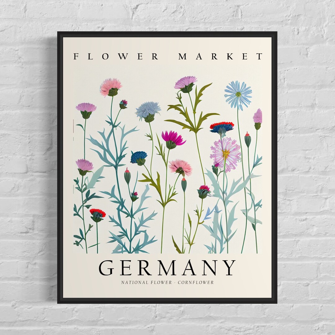 Germany National Flower, Germany Flower Market Art Print, Cornflower 1960's Wall Art , Neutral