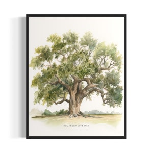 Southern Live Oak Tree Art Print, Southern Live Oak Tree Wall Art Poster