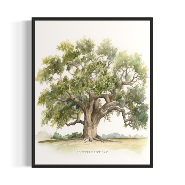 Southern Live Oak Tree Art Print, Southern Live Oak Tree Wall Art Poster