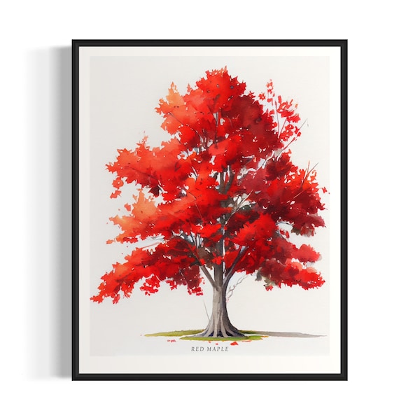 Red Maple Tree Art Print, Red Maple Tree Wall Art Poster