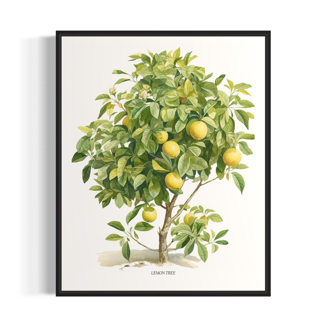 Lemon Tree Art Print, Lemon Tree Wall Art Poster Etsy