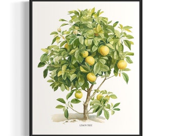 Lemon Tree Art Print, Lemon Tree Wall Art Poster