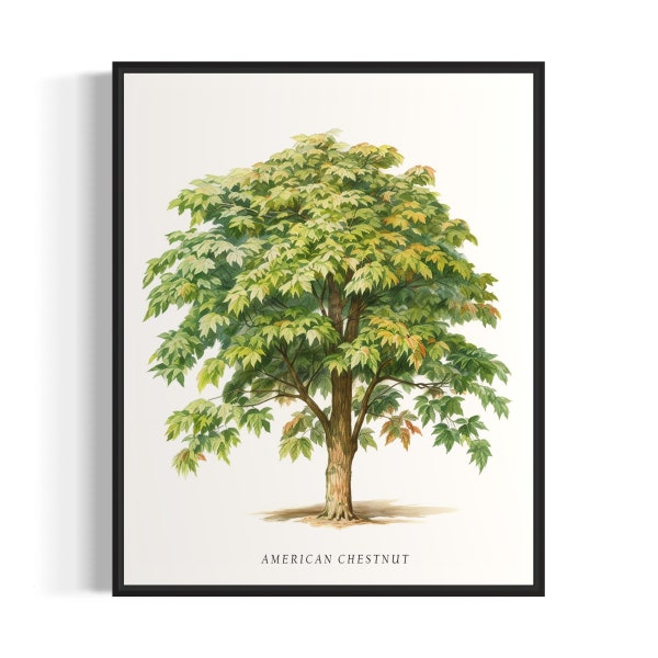 American Chestnut Tree Art Print, American Chestnut Tree Wall Art Poster
