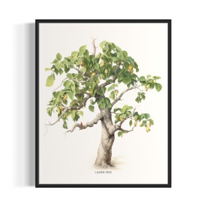 Cashew Tree Art Print, Cashew Tree Wall Art Poster