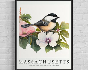 Massachusetts State Bird Art Print, Massachusetts State Flower, Massachusetts Wall Art, Home Decor