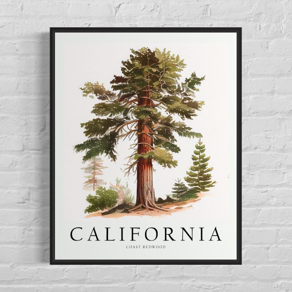 California State Tree Art Print, Coast Redwood Tree Wall Art, State Tree Symbol Artwork