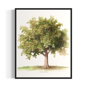 Apple Tree Art Print, Apple Tree Wall Art Poster