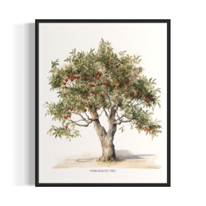 Pomegranate Tree Art Print, Pomegranate Tree Wall Art Poster