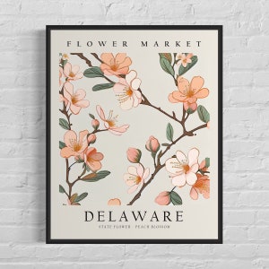 Delaware State Flower, Delaware Flower Market Art Print, Peach Blossom 1960's Wall Art , Neutral Botanical Pastel Artwork