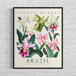 Brazil National Flower, Brazil Market Art Print, Cattleya Labiata 1960&#39;s Wall Art , Neutral Botanical Pastel Artwork