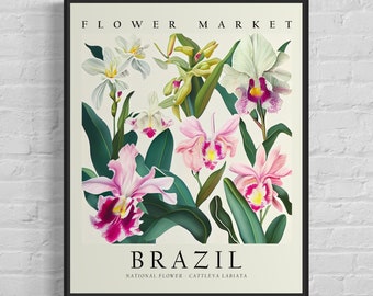 Brazil National Flower, Brazil Market Art Print, Cattleya Labiata 1960's Wall Art , Neutral Botanical Pastel Artwork