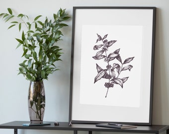 Coffee Plant Artwork | Black and White Botanical | Coffee Gift | Coffee Drawing | Coffee Plant | Digital Download | Coffee Printable