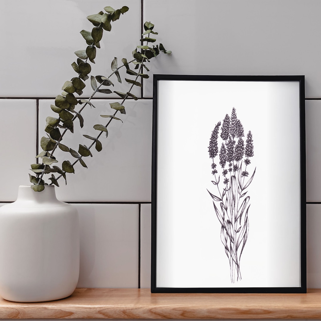 Lavender Pen and Ink Art Print: Black and White Floral Giclee - Etsy