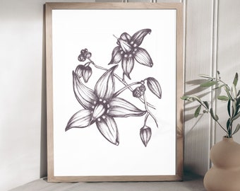 Gicleeprint met nachtschadebloem: zwart-witte pen en botanische kunst