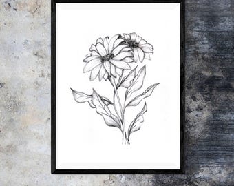 Impressão Giclée Daisy Pen and Ink: Arte Botânica em Preto e Branco