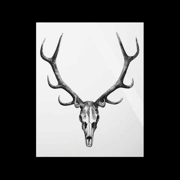 Metal print black and white deer skull