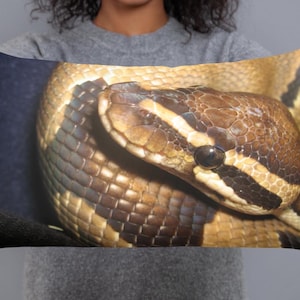 Könnte beinhalten: Nahaufnahme einer braunen und schwarzen Schlange mit gemusterter Haut. Die Schlange ist auf einem dunkelblauen Hintergrund zusammengerollt.