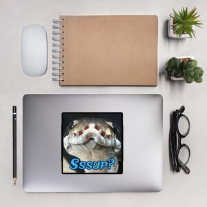 Python Sssup Sticker