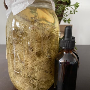 Organic Usnea Tincture