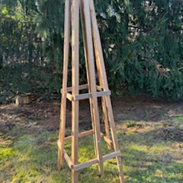 garden obelisk, tomato cage, trellis