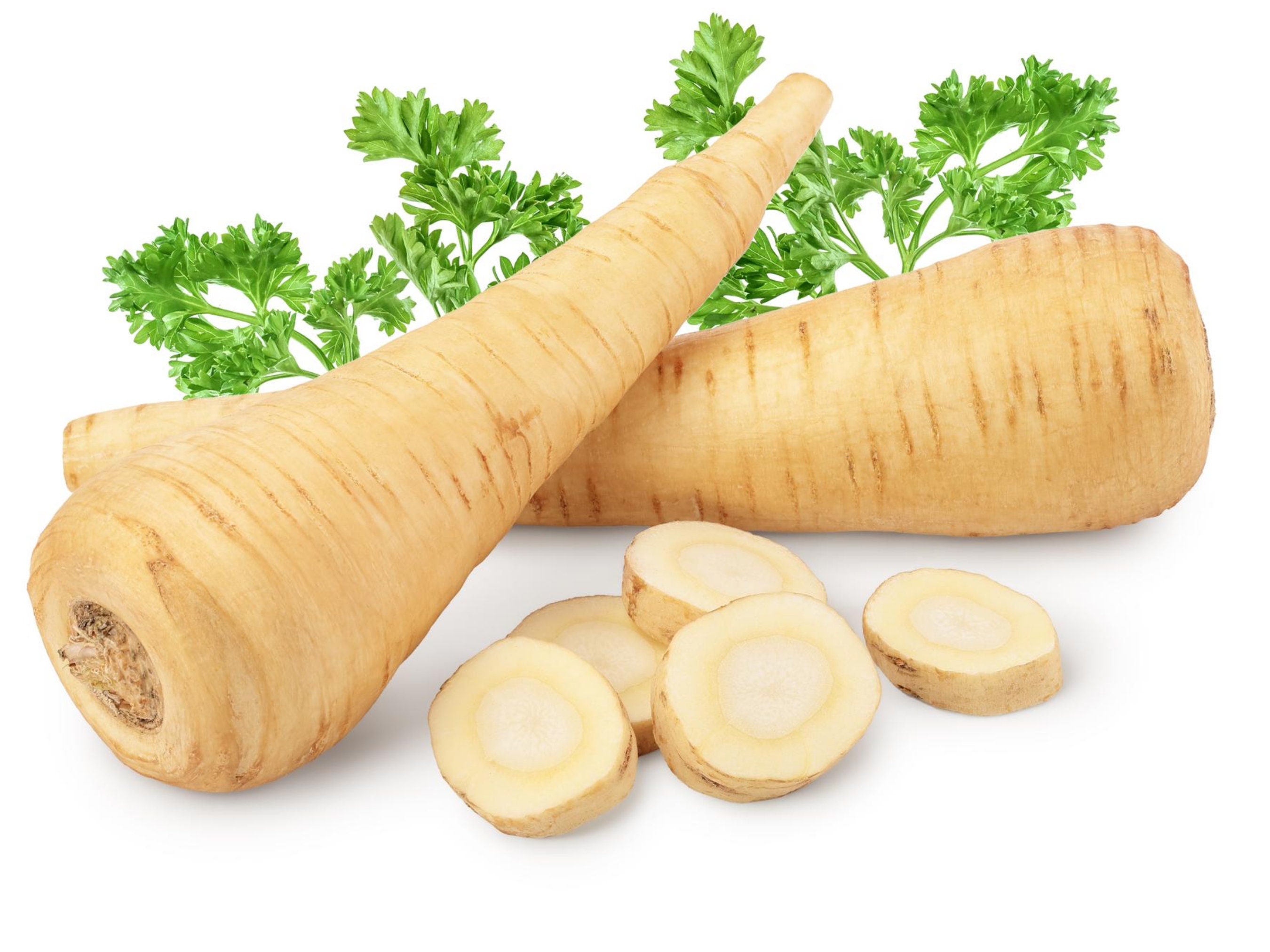 Buy Parsnip Seeds Online In India - Etsy India