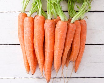 Organic Tendersweet Carrot Seeds - 50 + Seeds - Grow Your Own Foods - Organic & Non GMO - Gardening Seeds