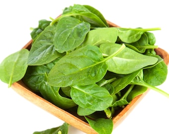 Organic Spinach Seeds - 50 + Seeds - Grow Your Own Foods - Organic & Non GMO - Gardening Seeds