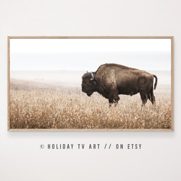 Samsung Frame TV Art,Samsung Art TV,Bison Frame TV,Bison Wall Art,Buffalo Frame tv Art,Buffalo Wall Art,Nature Wall Art,Instant Download