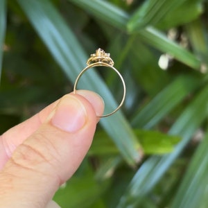 May include: A gold ring with a red gemstone surrounded by smaller clear gemstones. The ring is on a finger against a green leafy background.