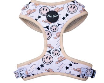 Space Cowboy Harness
