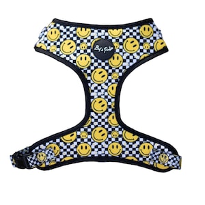 Pawsitive Vibes Only Harness