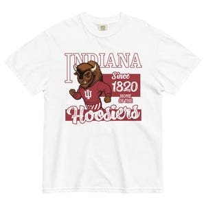Indiana Hoosiers Bison T-Shirt: IU Football & Basketball Fan Gear
