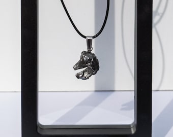 Campo del Cielo Meteorite Pendant Necklace with Floating Display