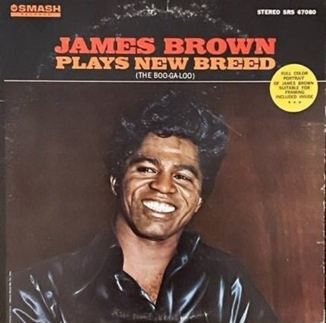 新品LP JAMES BROWN Notorious B.I.G. 内容良い！！ レコード