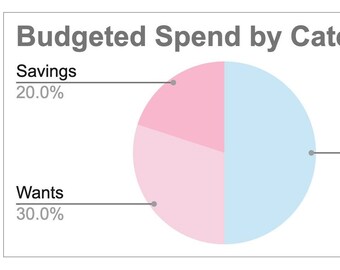 Kit de herramientas financieras: Mi presupuesto (rosa y azul)