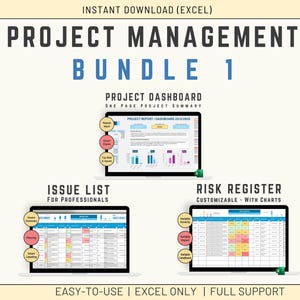 Paquete de gestión de proyectos de Excel, panel de estado del proyecto, registro de riesgos y registro de problemas