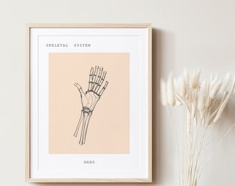 Hand Anatomy, Anatomy, Anatomy wall art, Anatomy Line Art, Medical Art, Clinic Décor, Anatomy Poster, Human Anatomy, Anatomy Printable