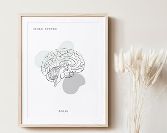 Anatomía del Cerebro, Anatomía, Anatomía Imprimible, Arte de Línea de Anatomía, Arte Médico, Decoración Clínica, Cartel de Anatomía, Anatomía Humana, Anatomía