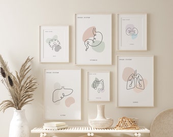 Conjunto de anatomía de órganos, anatomía imprimible, arte de pared de anatomía, arte médico, decoración clínica, cartel de anatomía, anatomía humana, arte de línea de anatomía